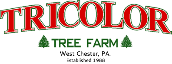 Tricolor Tree Farm